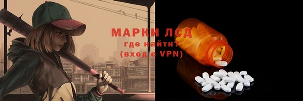 ПСИЛОЦИБИНОВЫЕ ГРИБЫ Арсеньев