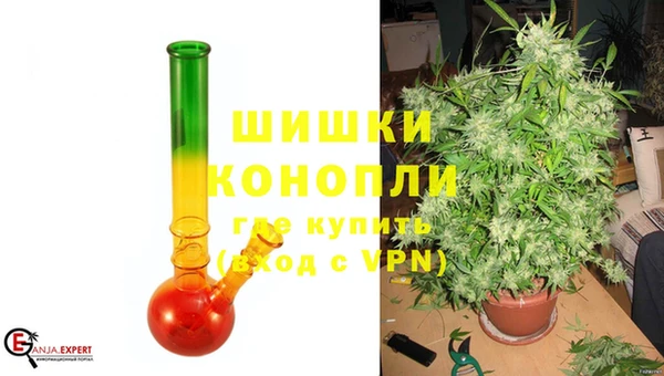 ПСИЛОЦИБИНОВЫЕ ГРИБЫ Арсеньев