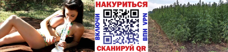 Шишки марихуана гибрид  Тында 